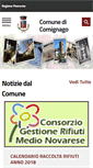 Mobile Screenshot of comune.comignago.no.it